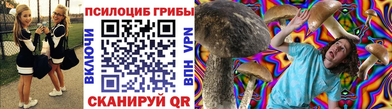 Псилоцибиновые грибы Magic Shrooms  Купить где  Щигры 